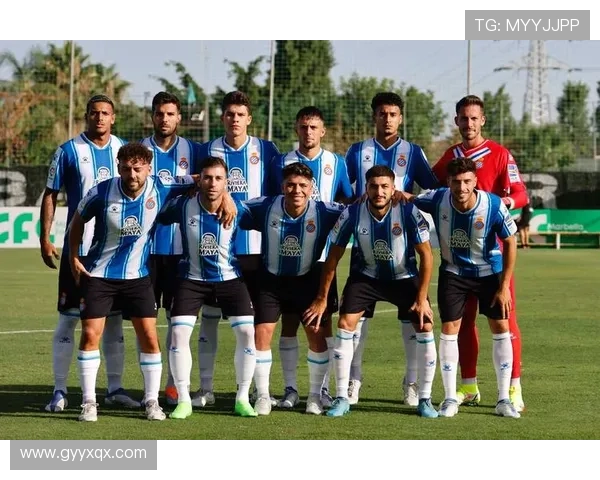 西班牙乙级联赛：球队实力对比及冲击升级的关键因素